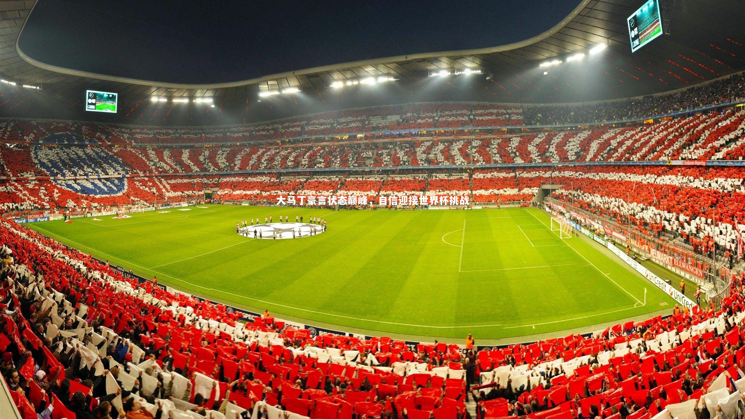 大马丁豪言状态巅峰，自信迎接世界杯挑战