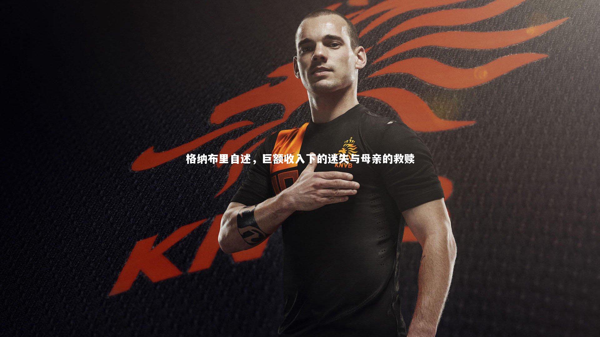 格纳布里自述,巨额收入下的迷失与母亲的救赎