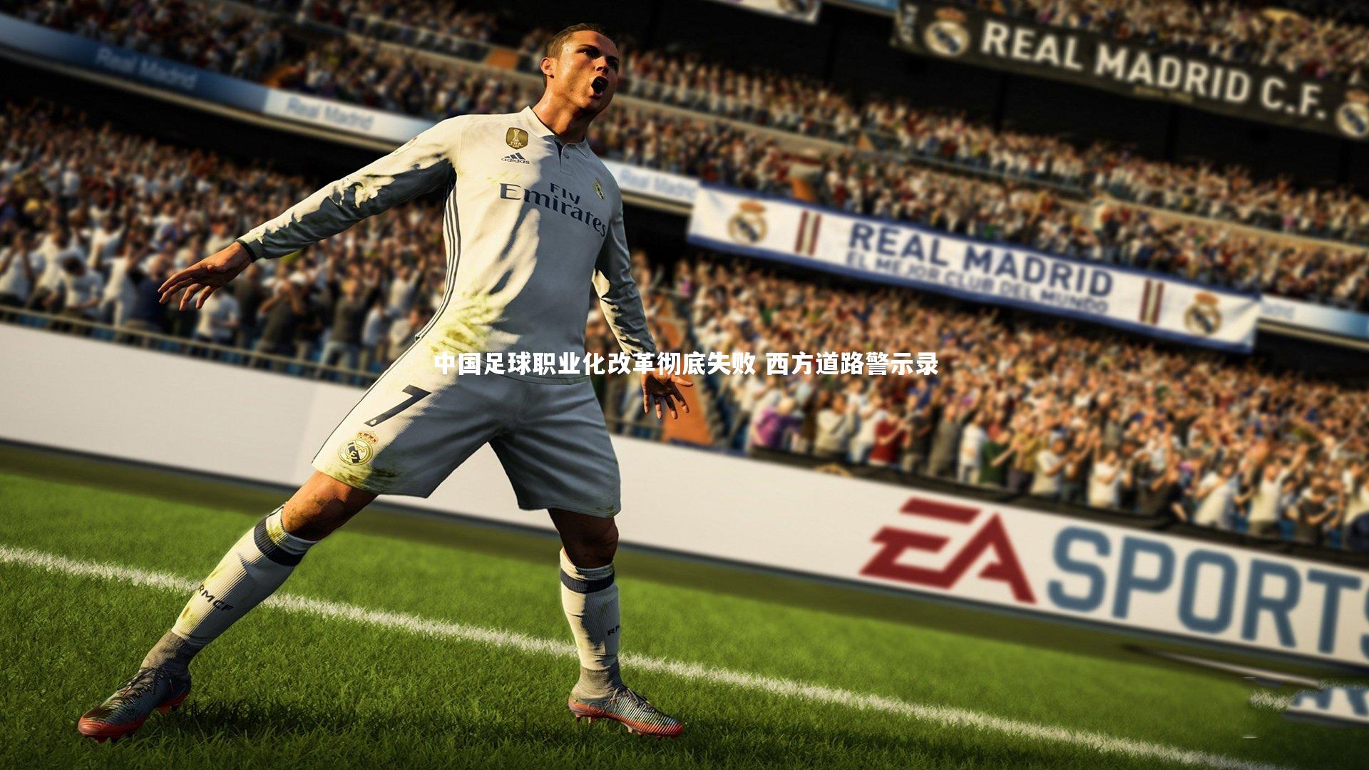 开云官网入口|中国足球职业化改革彻底失败 西方道路警示录